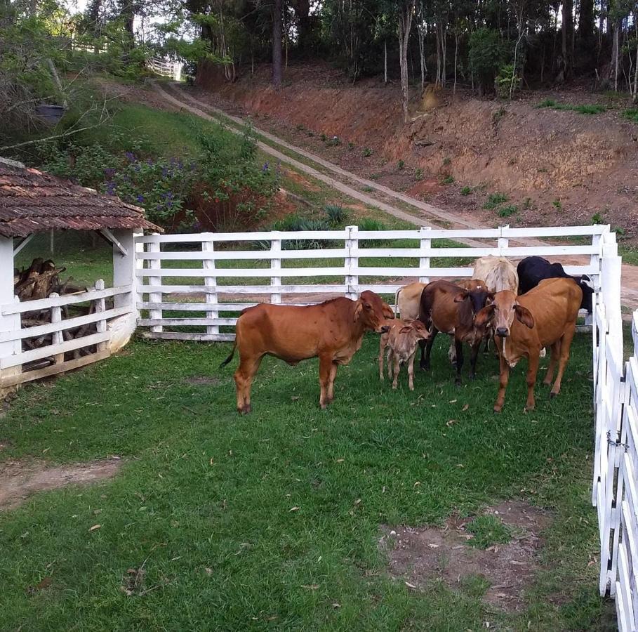 Chales Vinhas Da Harmonia L Pousada Em Cunha Sp Exterior foto